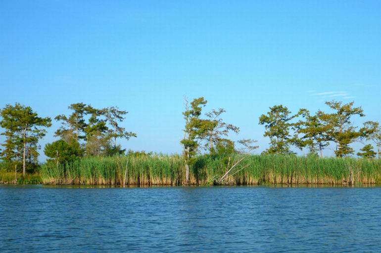 Wędkarstwo, Luizjana