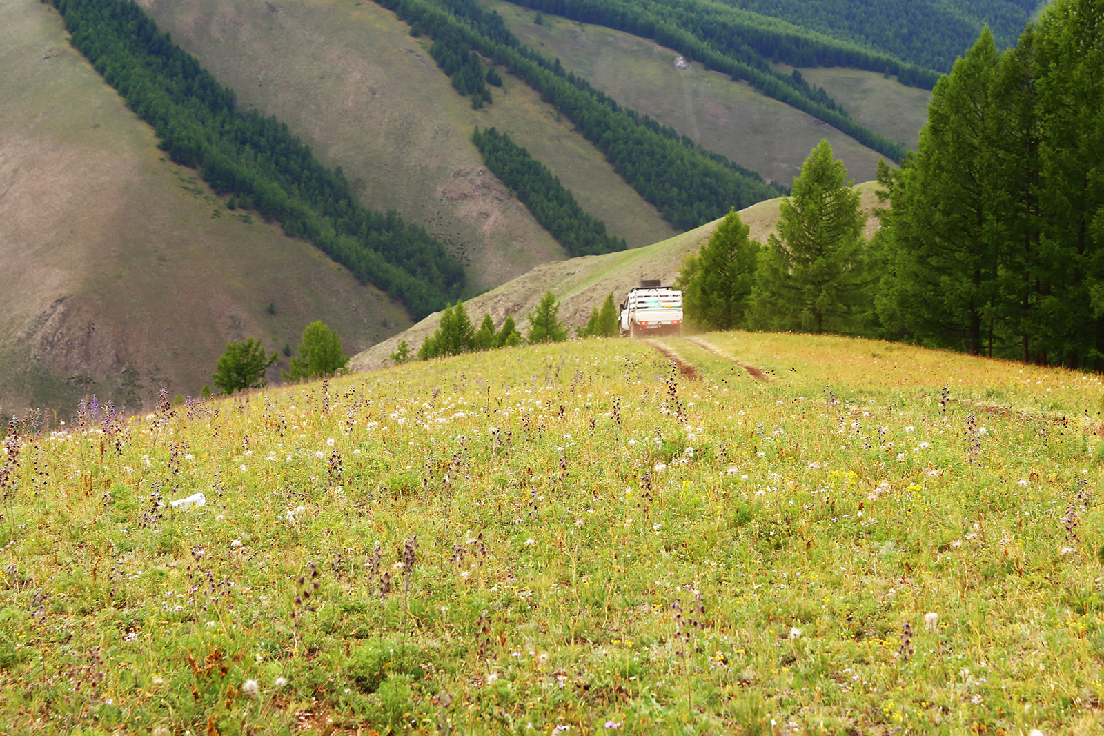 Wędkarstwo, Mongolia