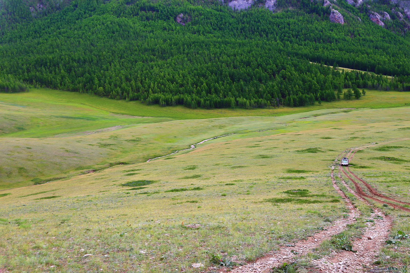 Wędkarstwo, Mongolia