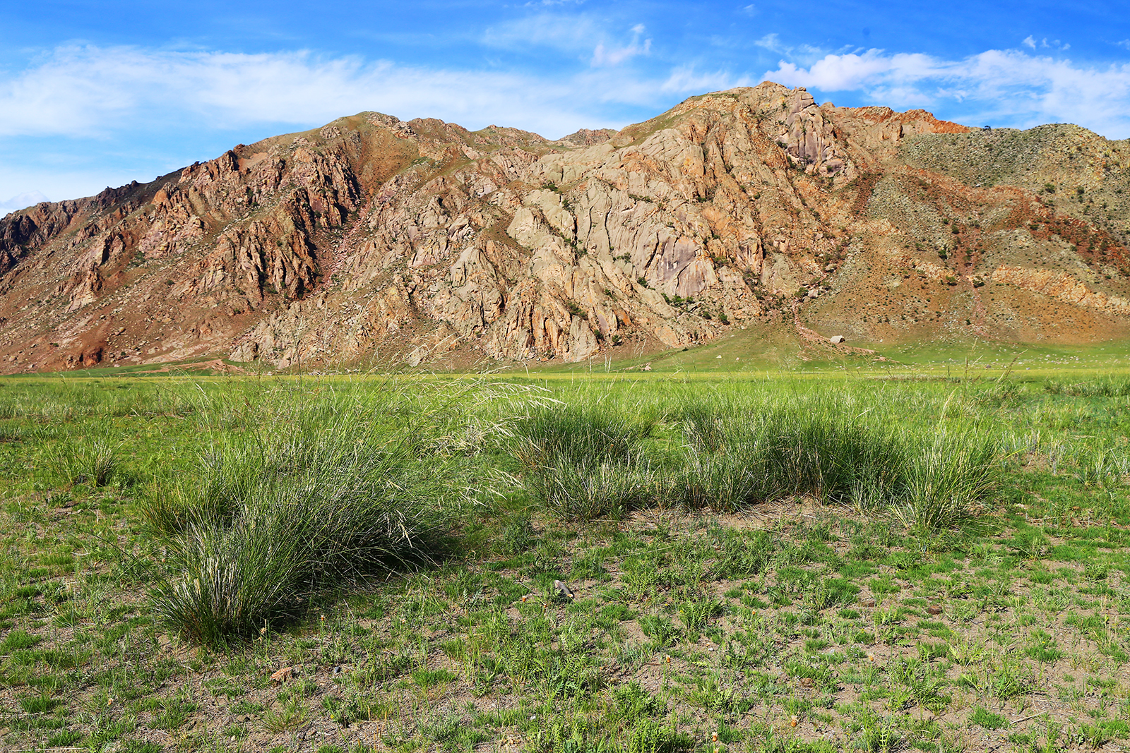 Wędkarstwo, Mongolia