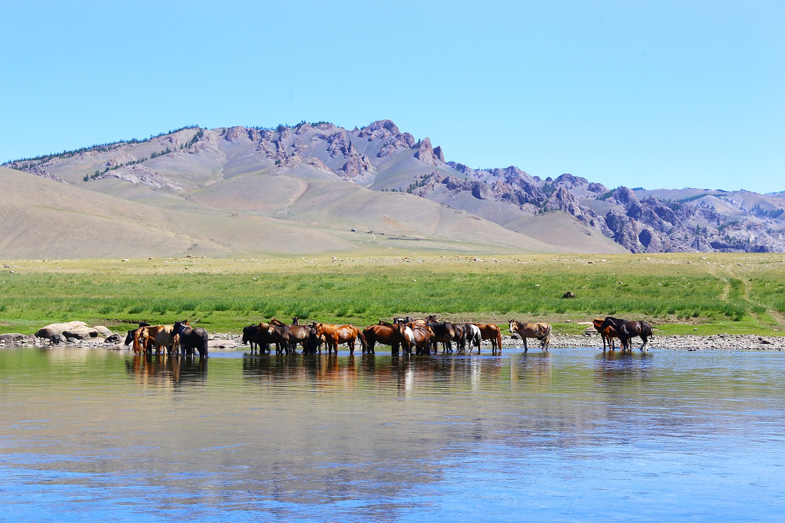 Wędkarstwo, Mongolia