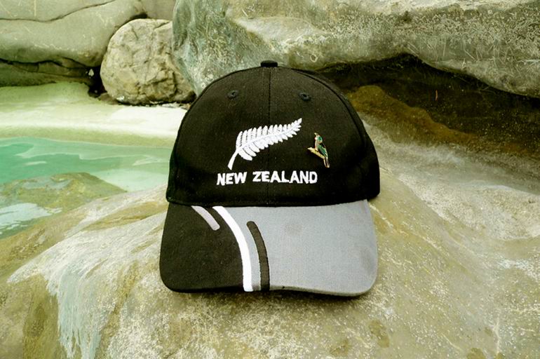 Wyprawa do Nowej Zelandii